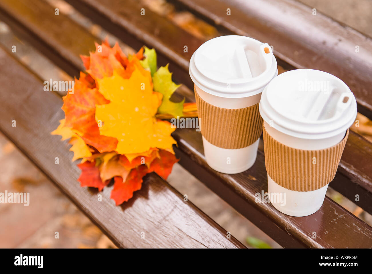 two coffee cups at city bench park with bouquet of yellow maple leaves Stock Photo - Alamy