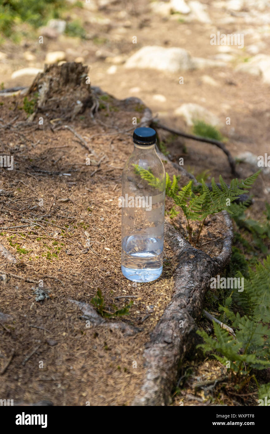 Plastic bottle with water on a background of green grass Stock Photo ...
