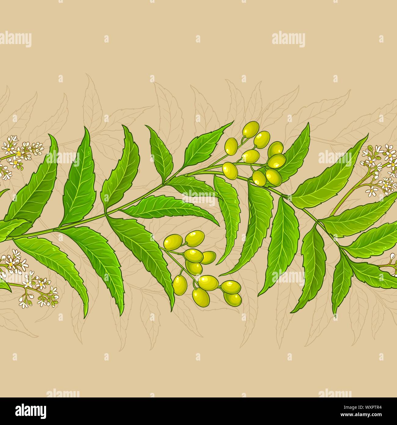 neem vector pattern on color background Stock Vector