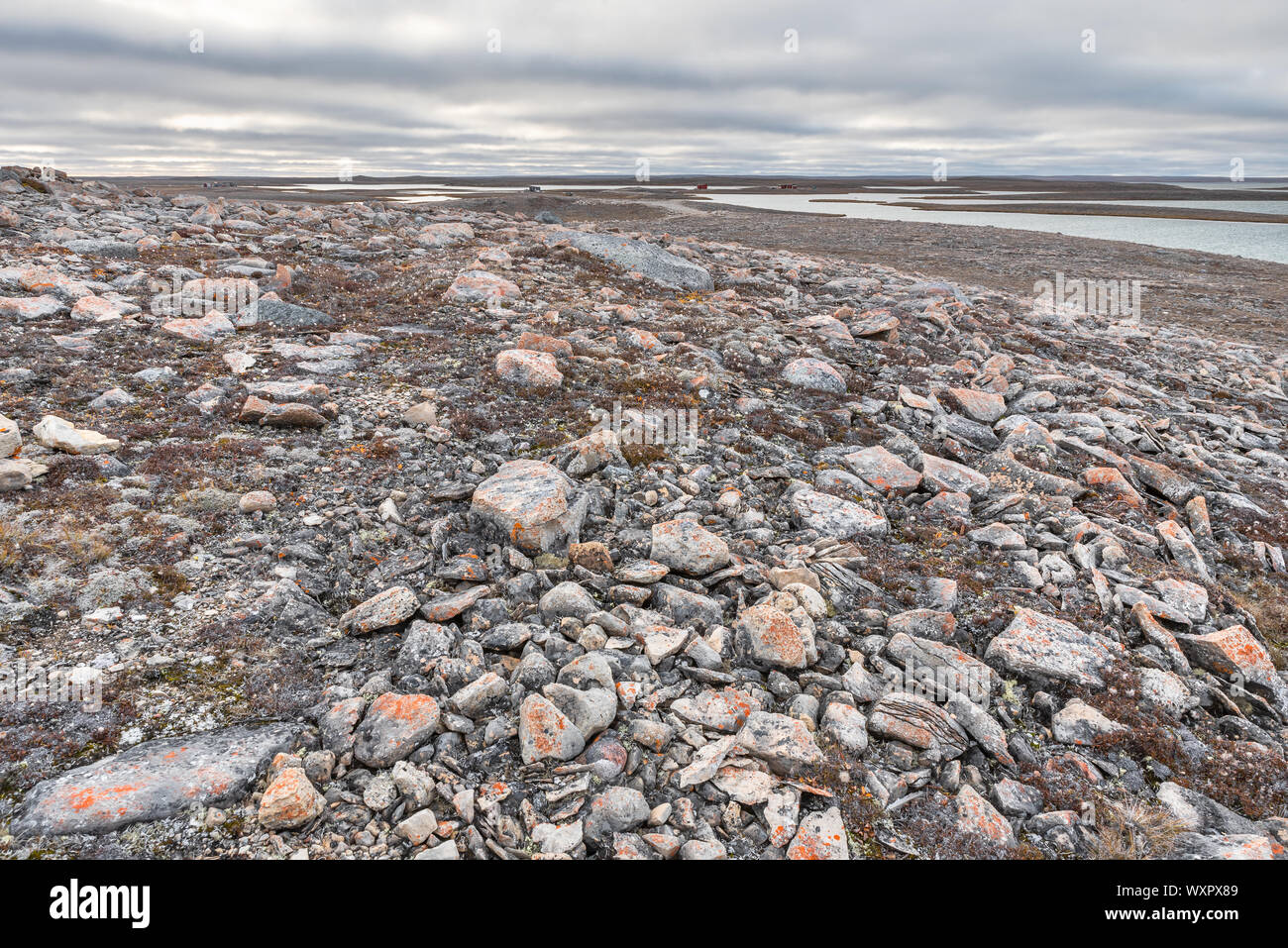 Tundra Landscape on Victoria Island, Canada Stock Photo - Alamy