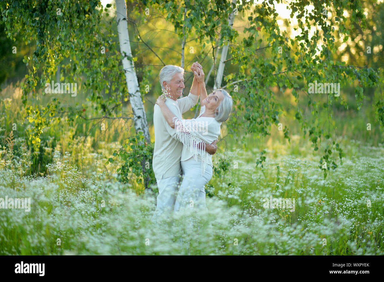 Portrait of beautiful senior couple dancing in summer park Stock Photo ...