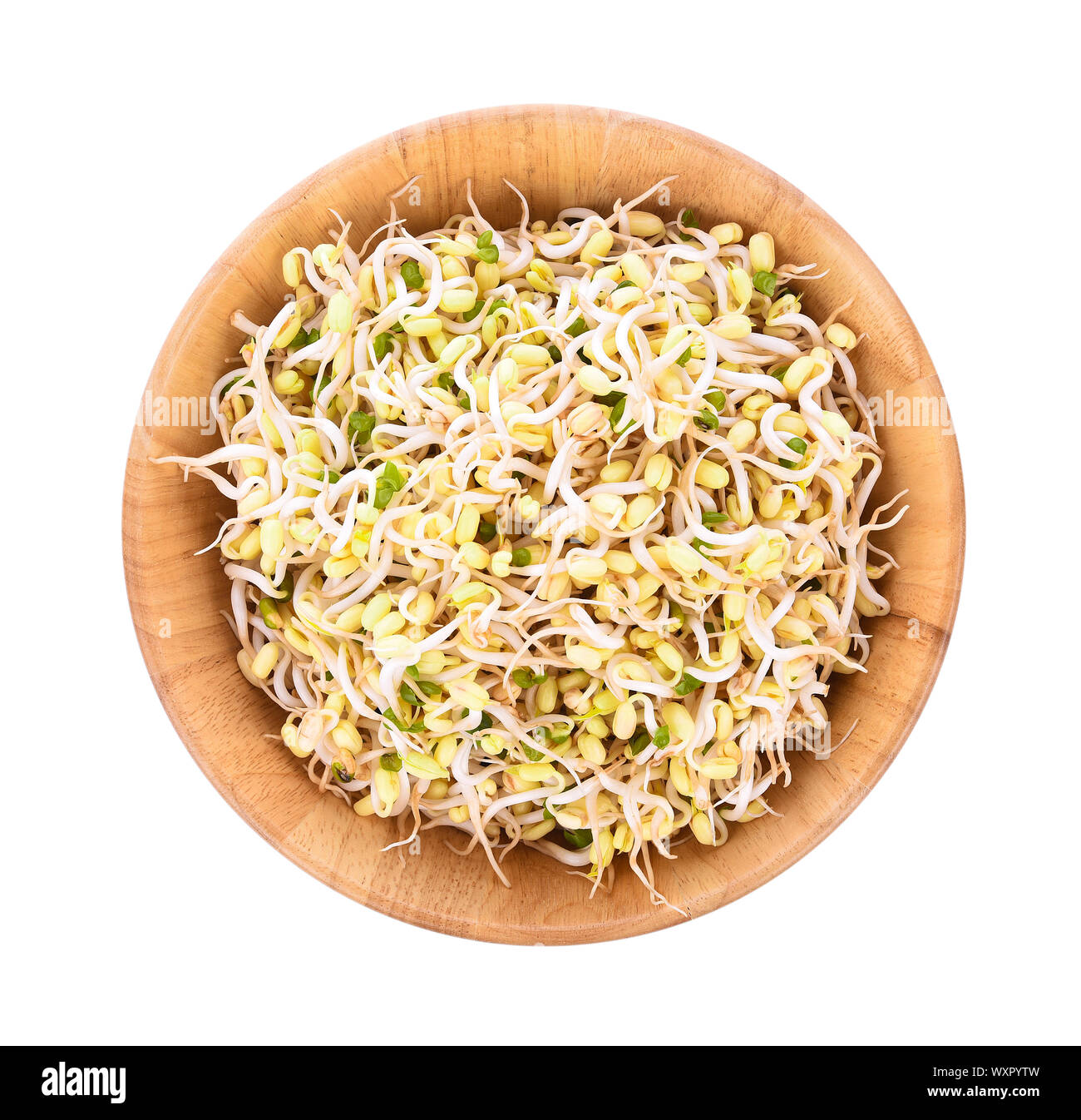bean sprouts, soybean sprouts on white background Stock Photo Alamy