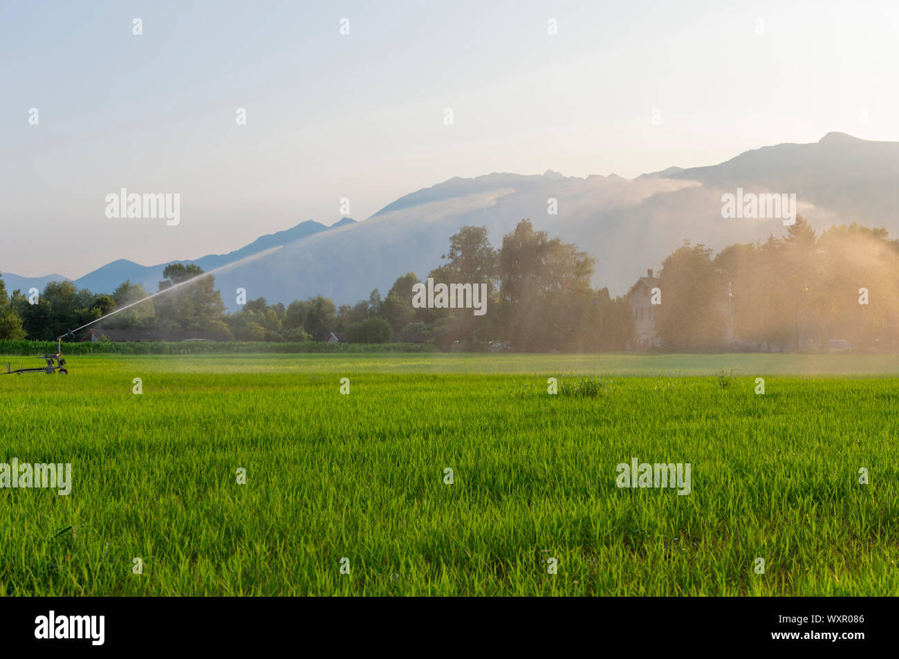 Water Sprinkler on Agriculture Field in Switzerland Stock Photo - Alamy