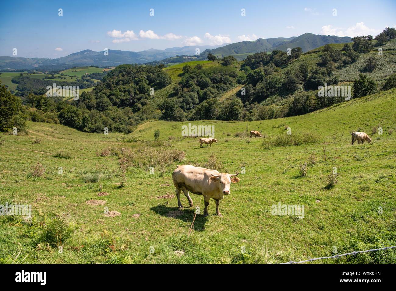 Iraty mountains hi-res stock photography and images - Alamy