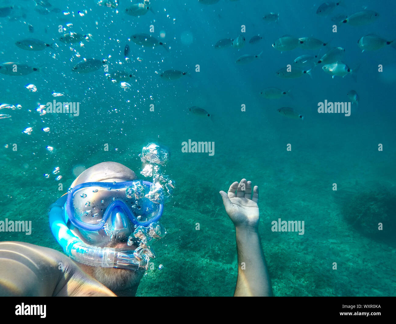 a man snorkling under the water with bubbles and lot of fish Stock Photo