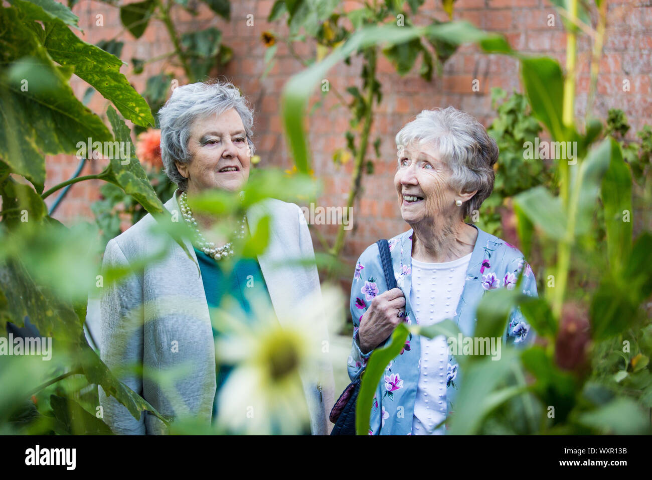 Kidderminster, Worcs, UK. 17th September 2019. 82-year-old Patricia Wallace and 81-year-old Fiona Lygo enjoy the first day of a new sensory garden developed in the grounds of an old disused carpet factory in Kidderminster, Worcestershire. The town was once reknowned for its carpet manufacture, but since its decline the factories have become derelict. The sensory garden - developed by Simply Limitless Wellbeing Centre - has scent and tactile elements. Credit: Peter Lopeman/Alamy Live News Stock Photo