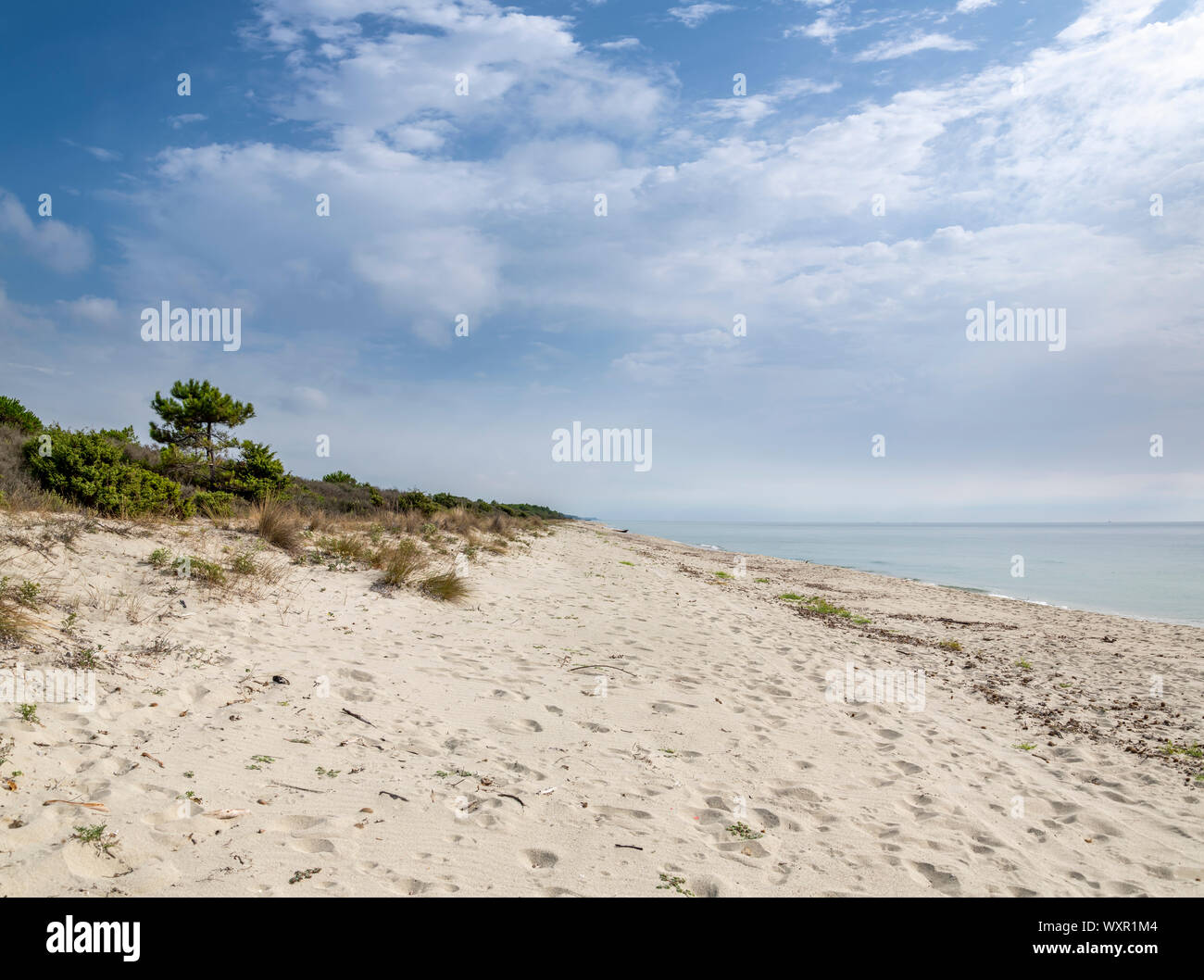 Untouched sandy Beach of Ghisonaccia with copy space in the sky, Corsica, France Stock Photo