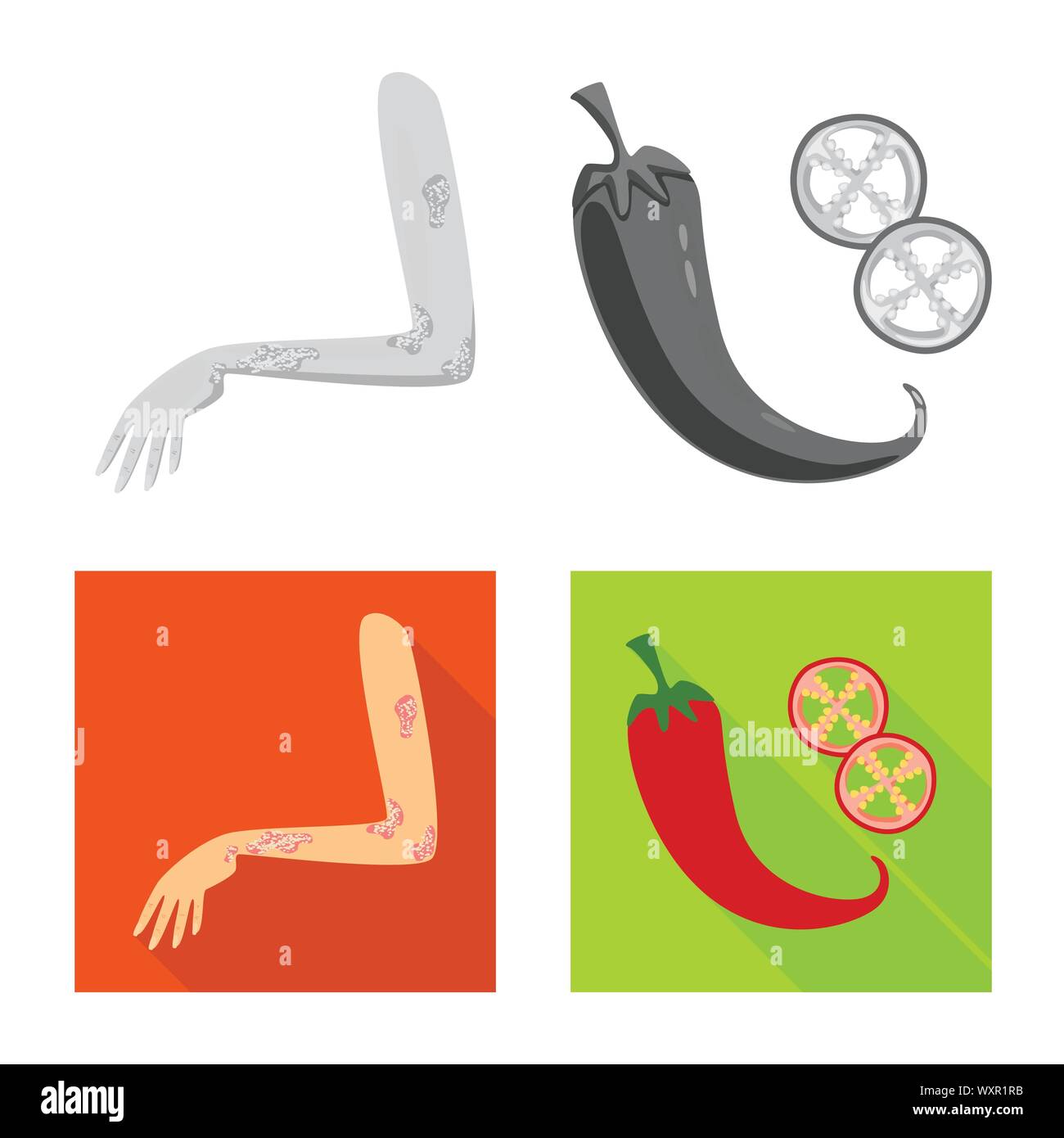 Vector Vectors Stock Vector Image & Art - Alamy
