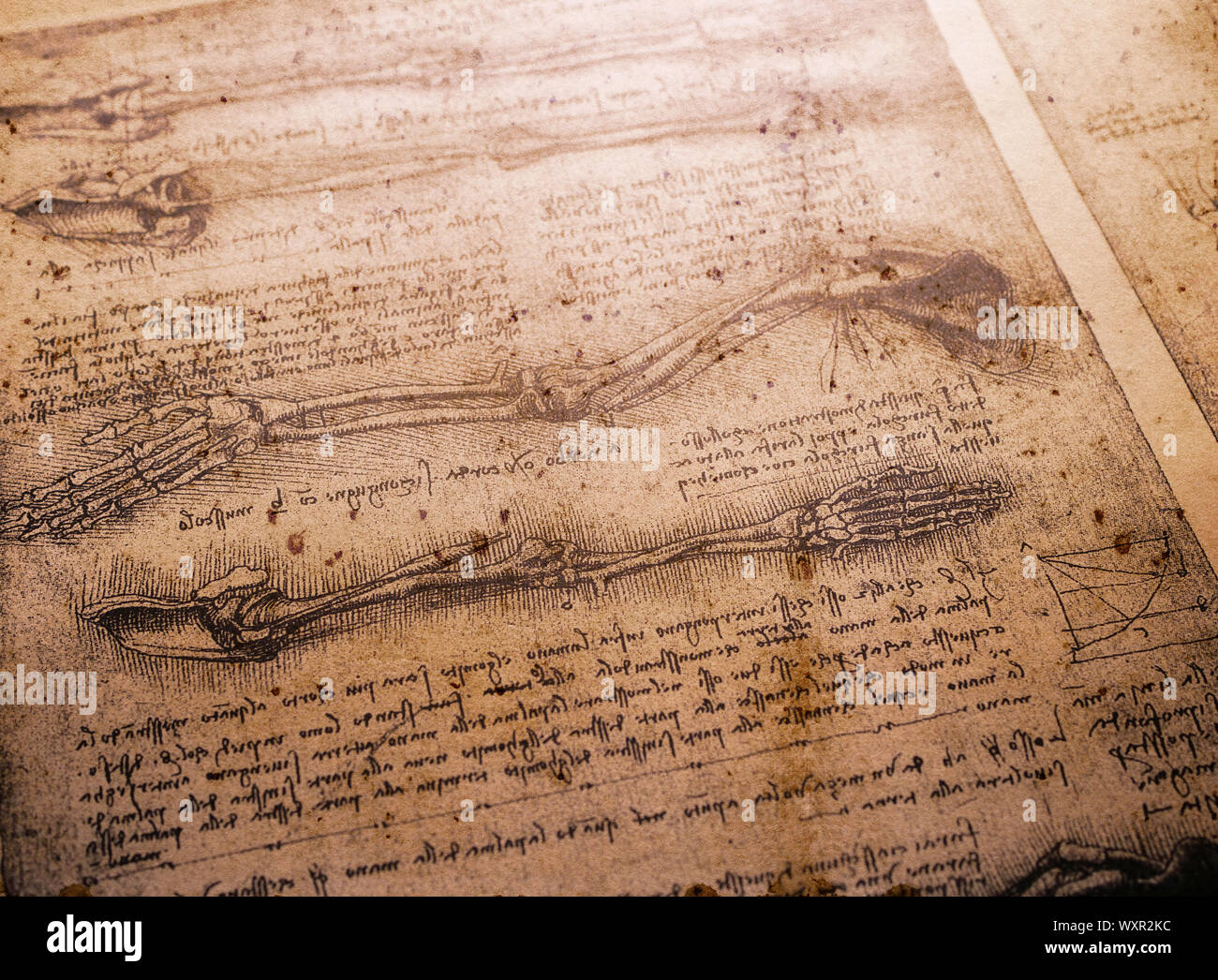 Page 9 - Leonardo Da Vinci Famous Painting High Resolution Stock  Photography and Images - Alamy