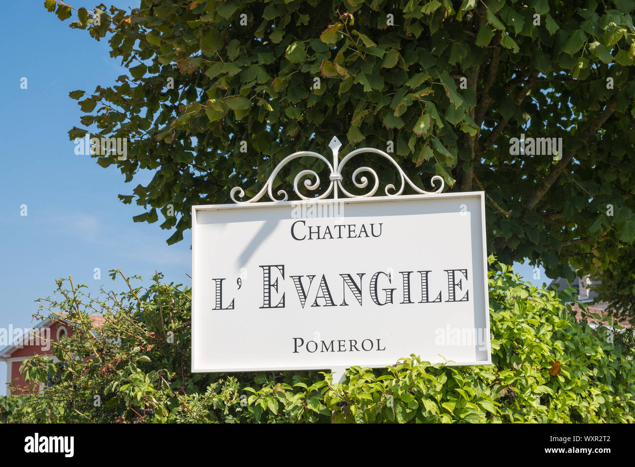 Chateau L'Evangile vineyard in the Pomerol region of Bordeaux Stock Photo