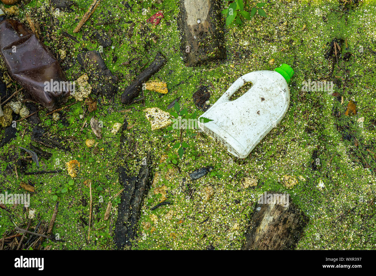 plastic, bottles, polystyrene and micro plastics in river water Stock Photo