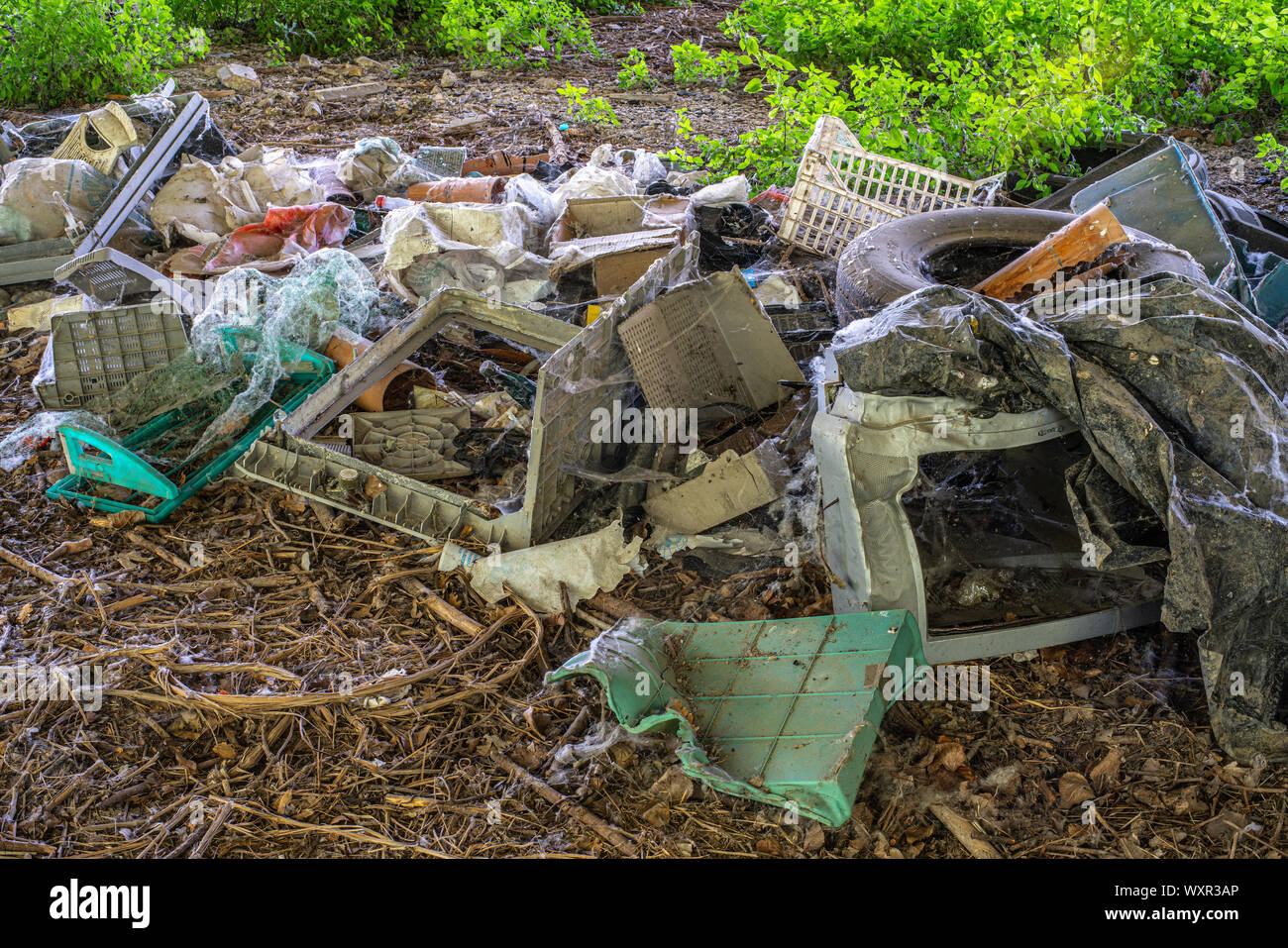 old trash heap, illegal dump Stock Photo