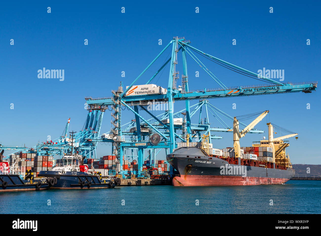 A close up image of a large container ship being loaded by cranes with blue sky background docked in the port of Algeciras, Spain Stock Photo