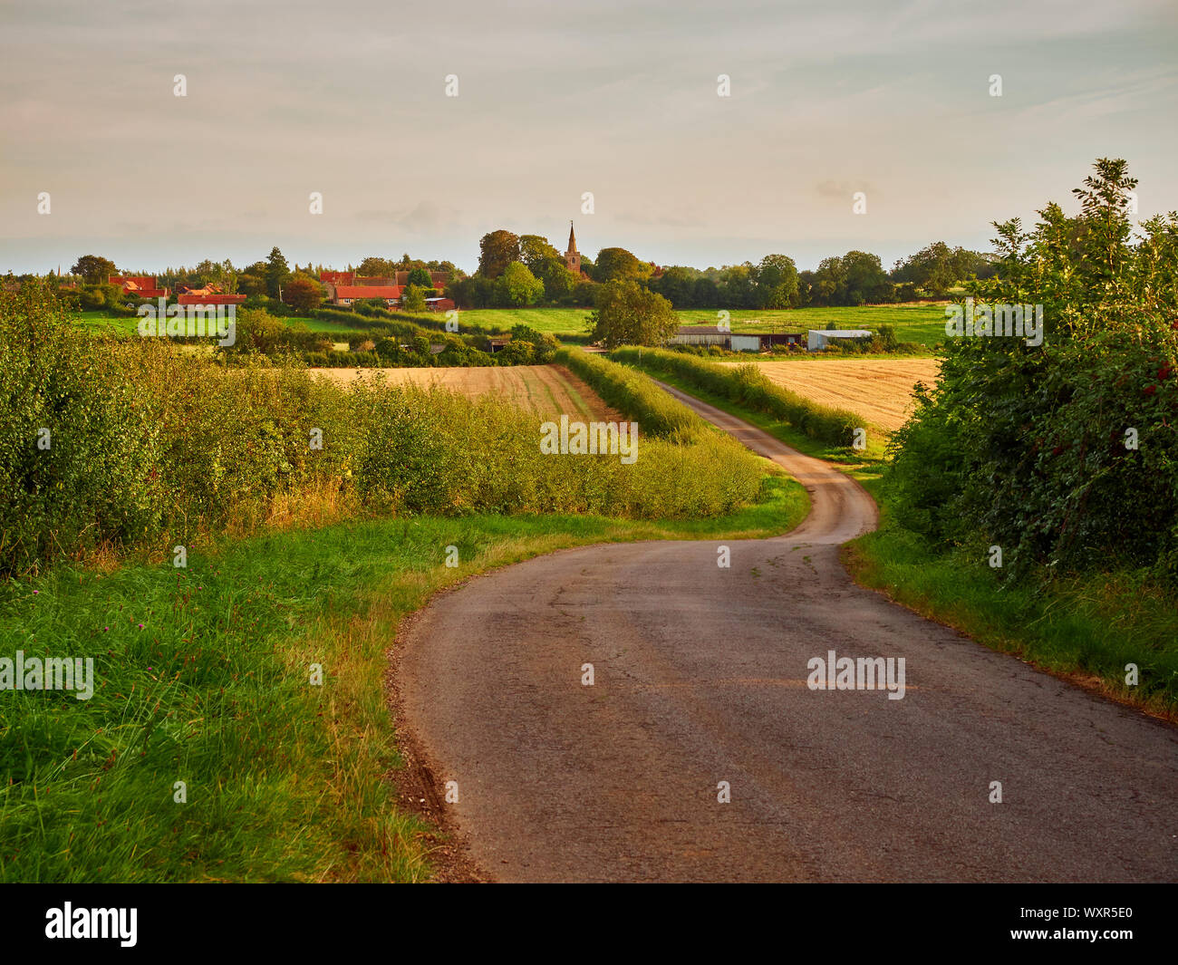 A view across the rural countryside landscape looking towards Kelby, Lincolnshire, illuminated by the warm glow of the evening sun Stock Photo