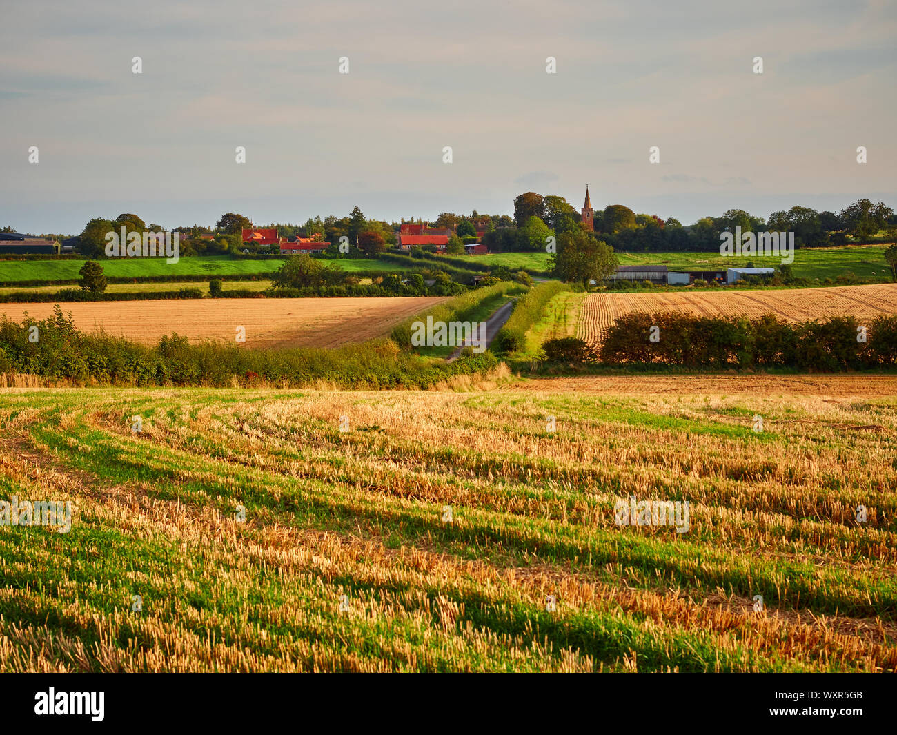 A view across the rural countryside landscape looking towards Kelby, Lincolnshire, illuminated by the warm glow of the evening sun Stock Photo