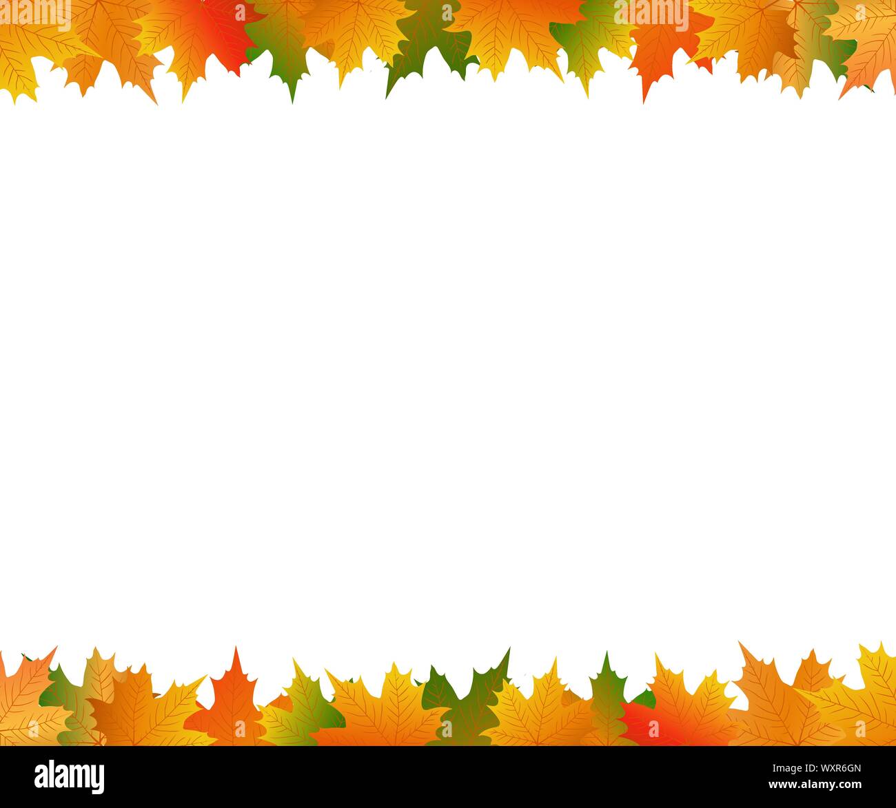 Autumn maple leaf on a white background Stock Vector Image & Art - Alamy