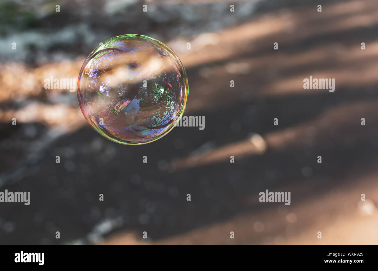 Coloured translucent soap bubble floating in the air with reflection of trees, sky and building on sunny evening. Calm background with soap bubble. Stock Photo