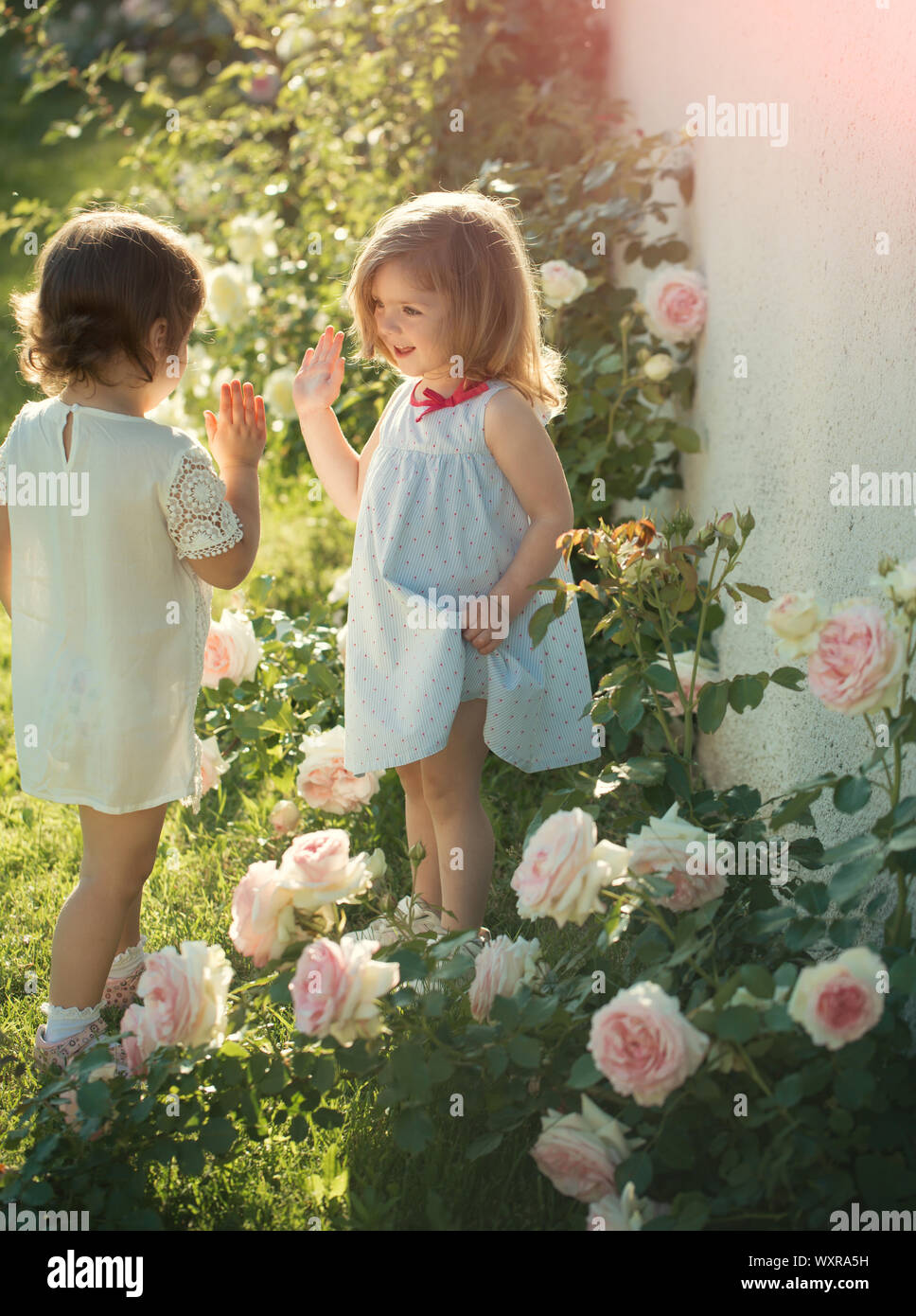Two girls smiling at blossoming rose flowers. Children playing ...