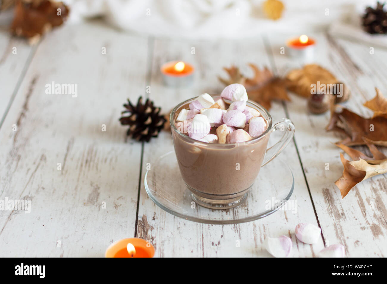 Hot Chocolate Cacao Drink With Marshmallows And Cinnamon On Wooden Background Autumn Time Stock Photo Alamy