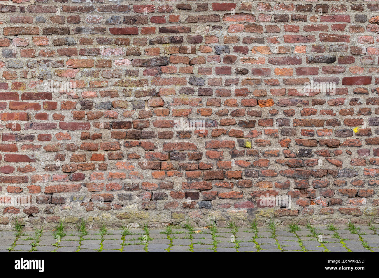 Old brick walling background/template. Empty brick wall for posters, advertising, signs, plate, etc. Stock Photo