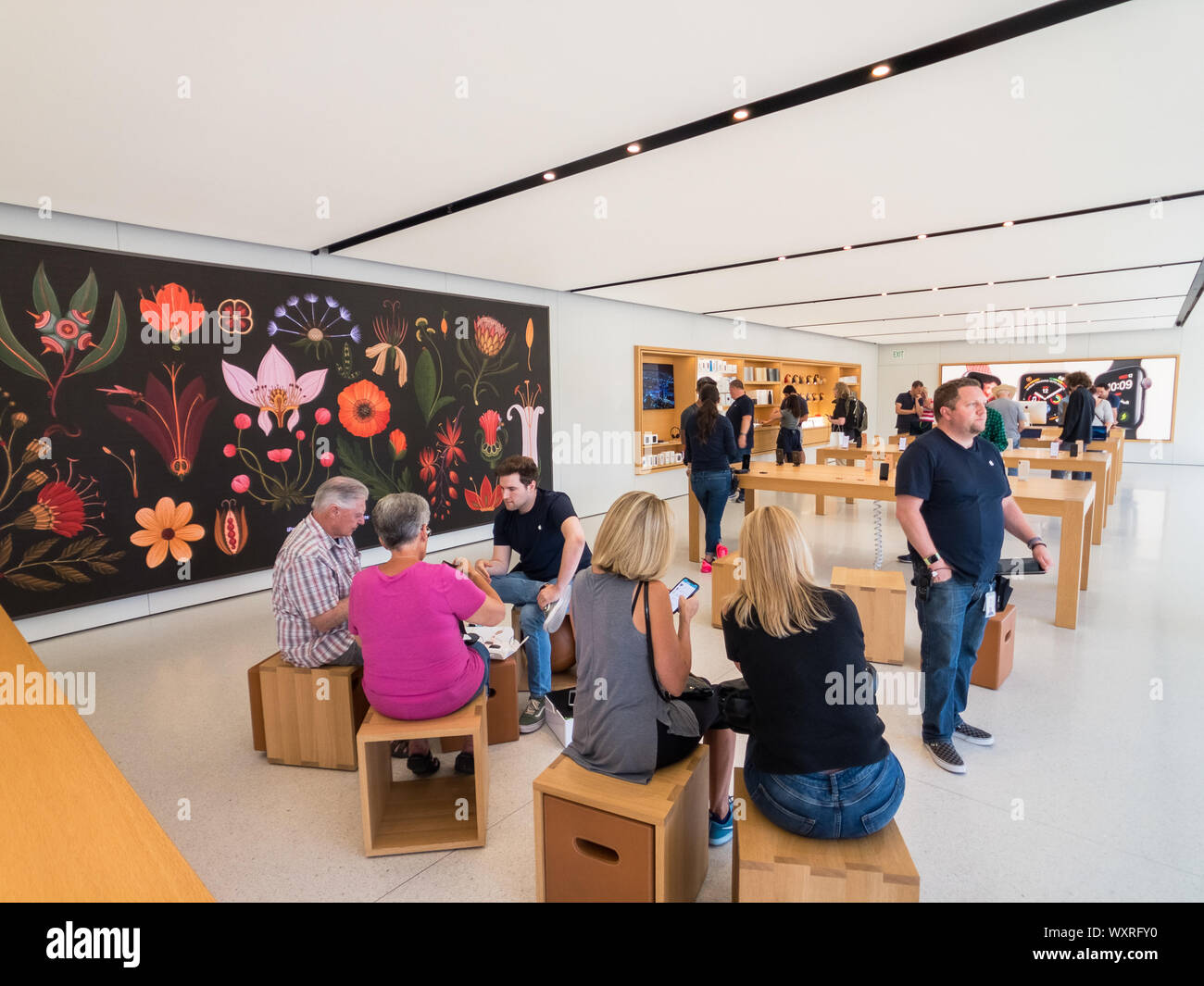 Cupertino, USA - September 10, 2018: Apple store at company campus in silicone valley, Infinity loop one, headquarter Stock Photo