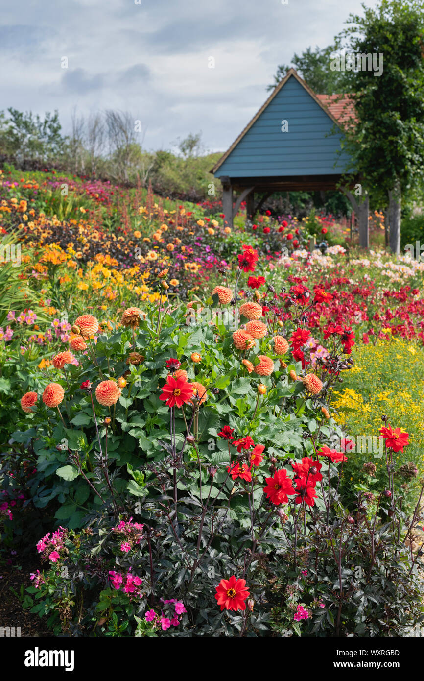 Colourful summer flowerbeds at Aston Pottery. Aston, Bampton, Oxfordshire, England Stock Photo