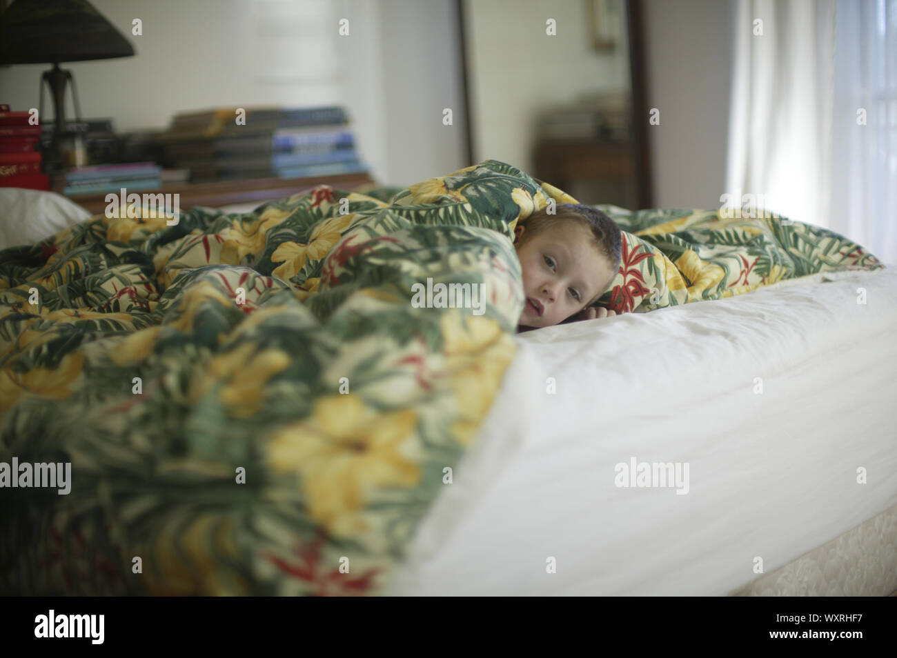 Boy peeking out from under bedcovers Stock Photo