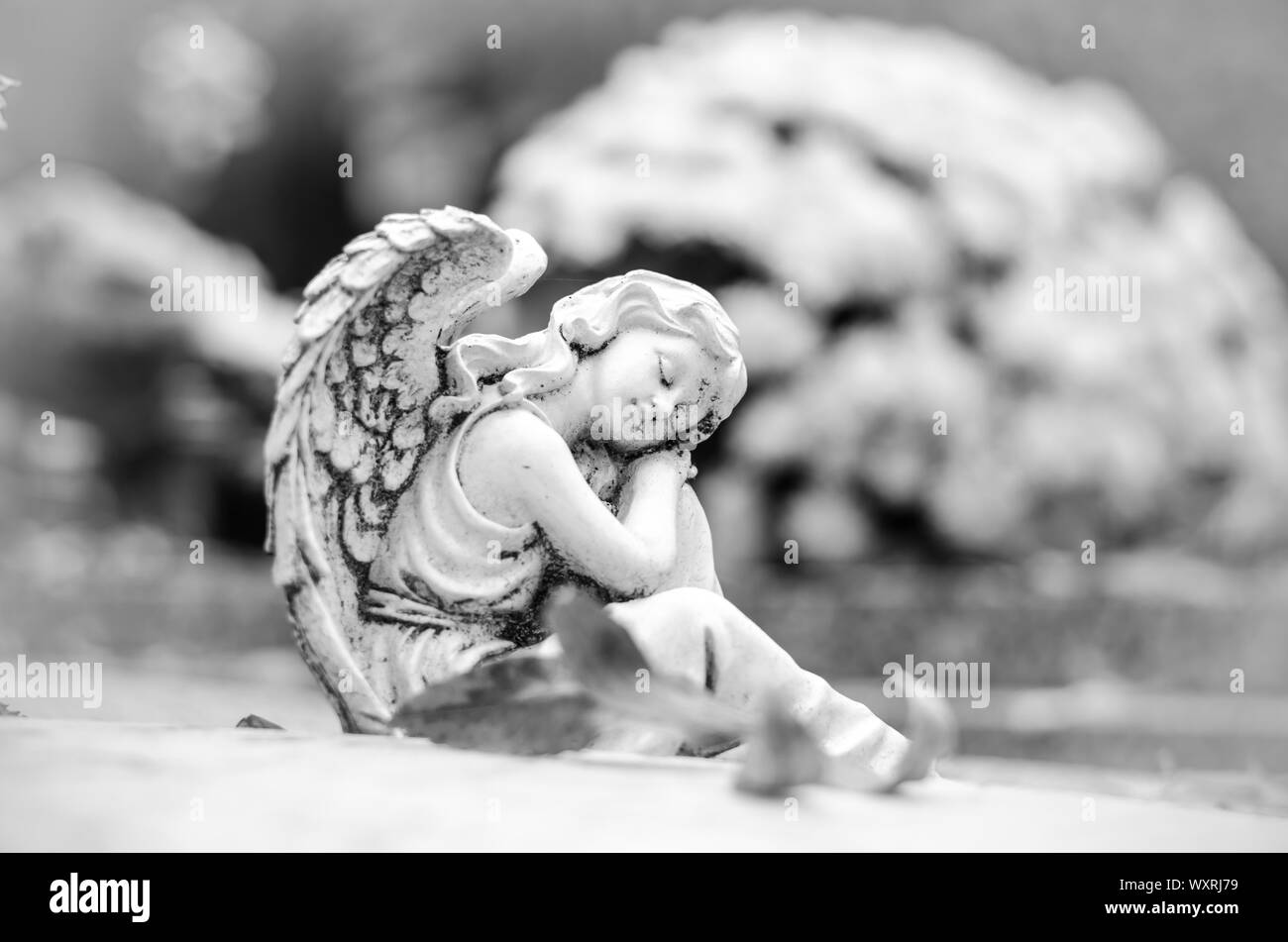 angel figure during christian All Saints Day event lying in the tomb in the cemetery Stock Photo