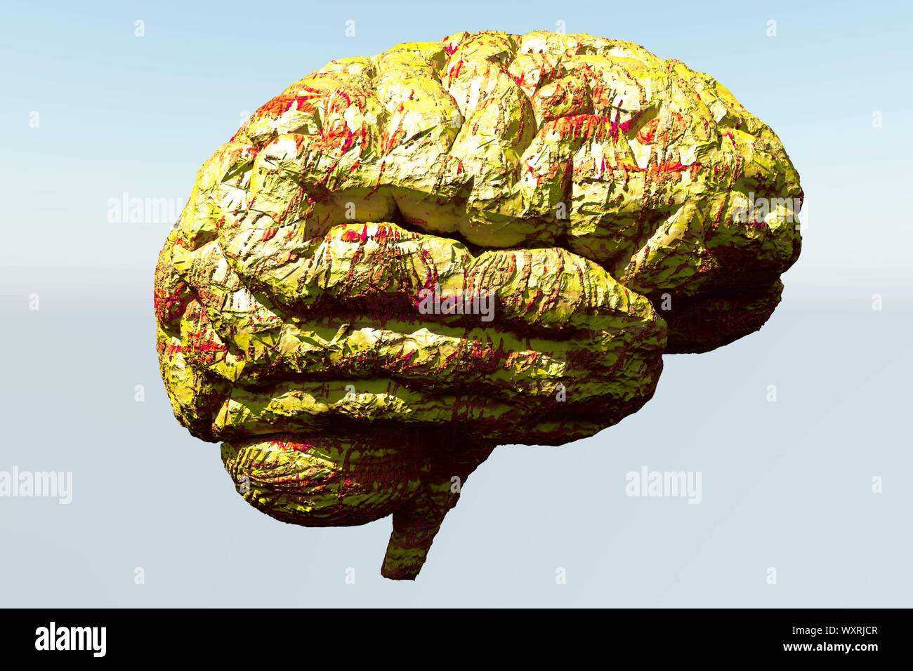 Brain anatomy realistic human in hi-res stock photography and images ...