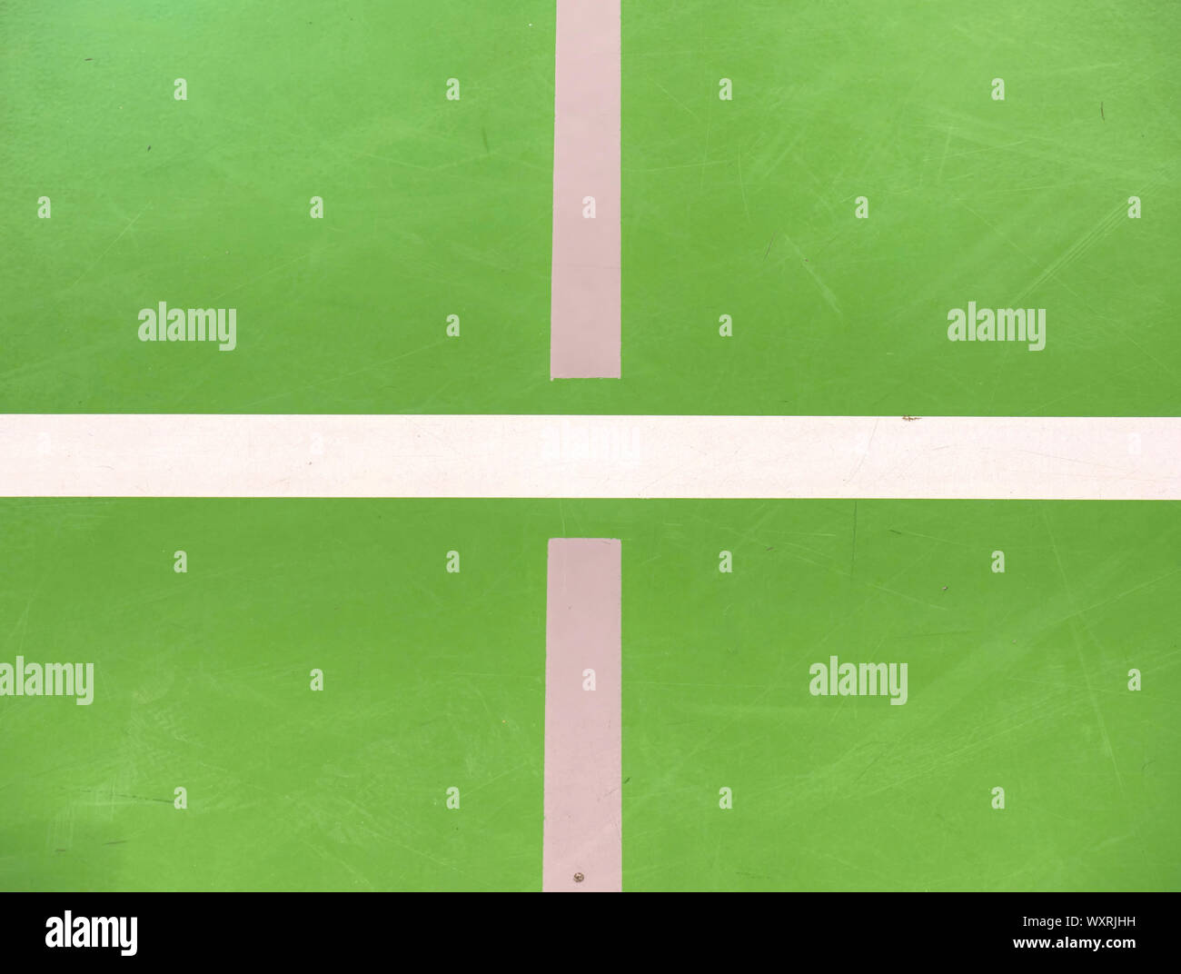 Polished green court floor inside of modern sporty hall. White lines ...