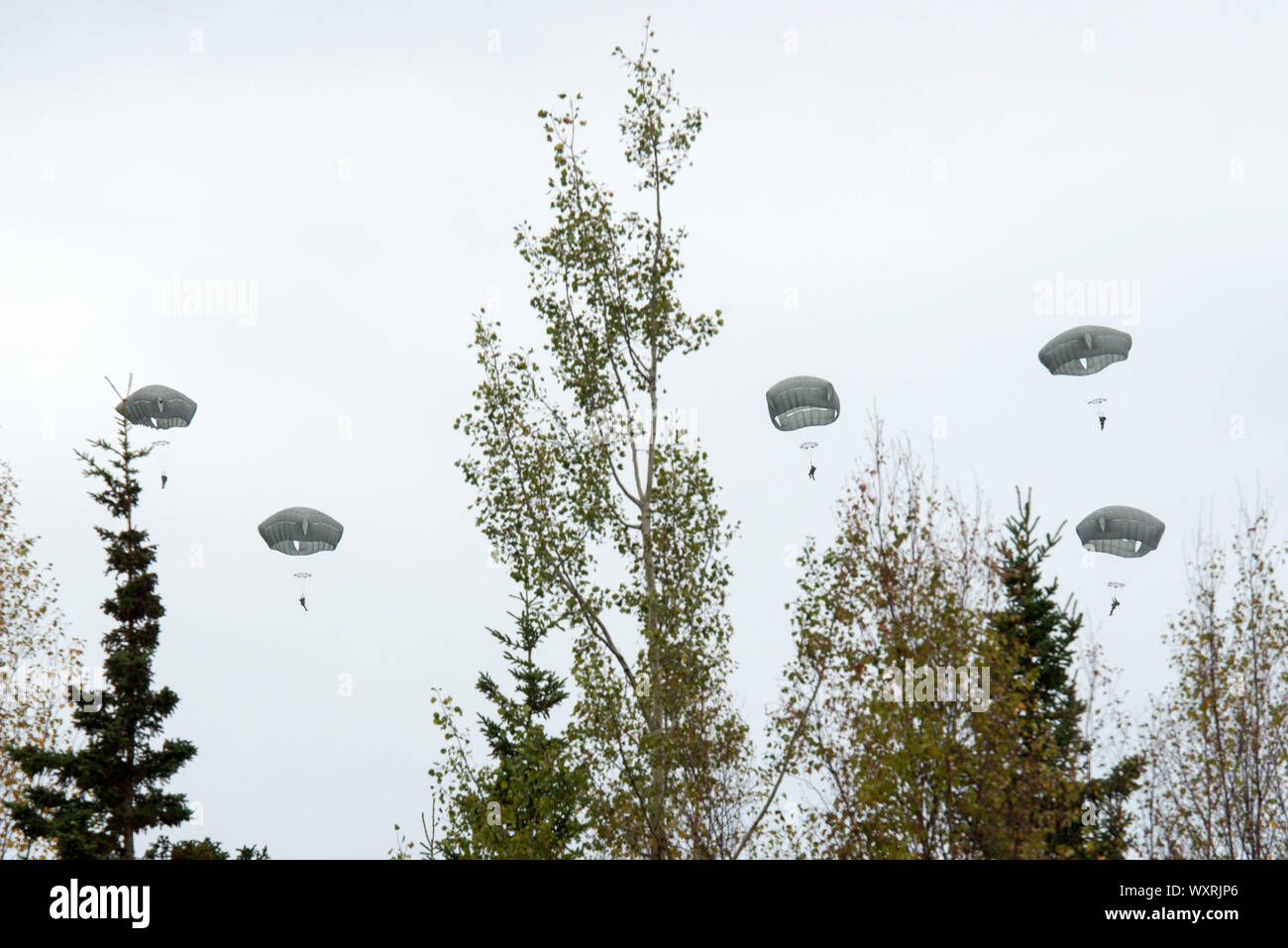 Army paratroopers with the 4th Infantry Brigade Combat Team (Airborne), 25th Infantry Division, U.S. Army Alaska, descend over Malemute Drop Zone after jumping from an Air Force C-130J Super Hercules during airborne operations at Joint Base Elmendorf-Richardson, Alaska, Sept. 16, 2019. The Soldiers of 4/25 belong to the only American airborne brigade in the Pacific and are trained to execute airborne maneuvers in extreme cold weather and high altitude environments in support of combat, partnership and disaster relief operations. (U.S. Air Force photo by Alejandro Peña) Stock Photo