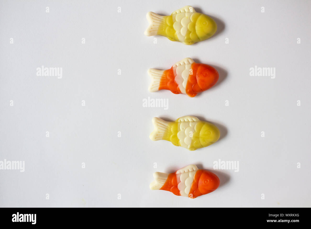 Fish. fish isolated on white background. icon or logo. Tropical fish. Kind Cartoon fish smiling. copy space Stock Photo