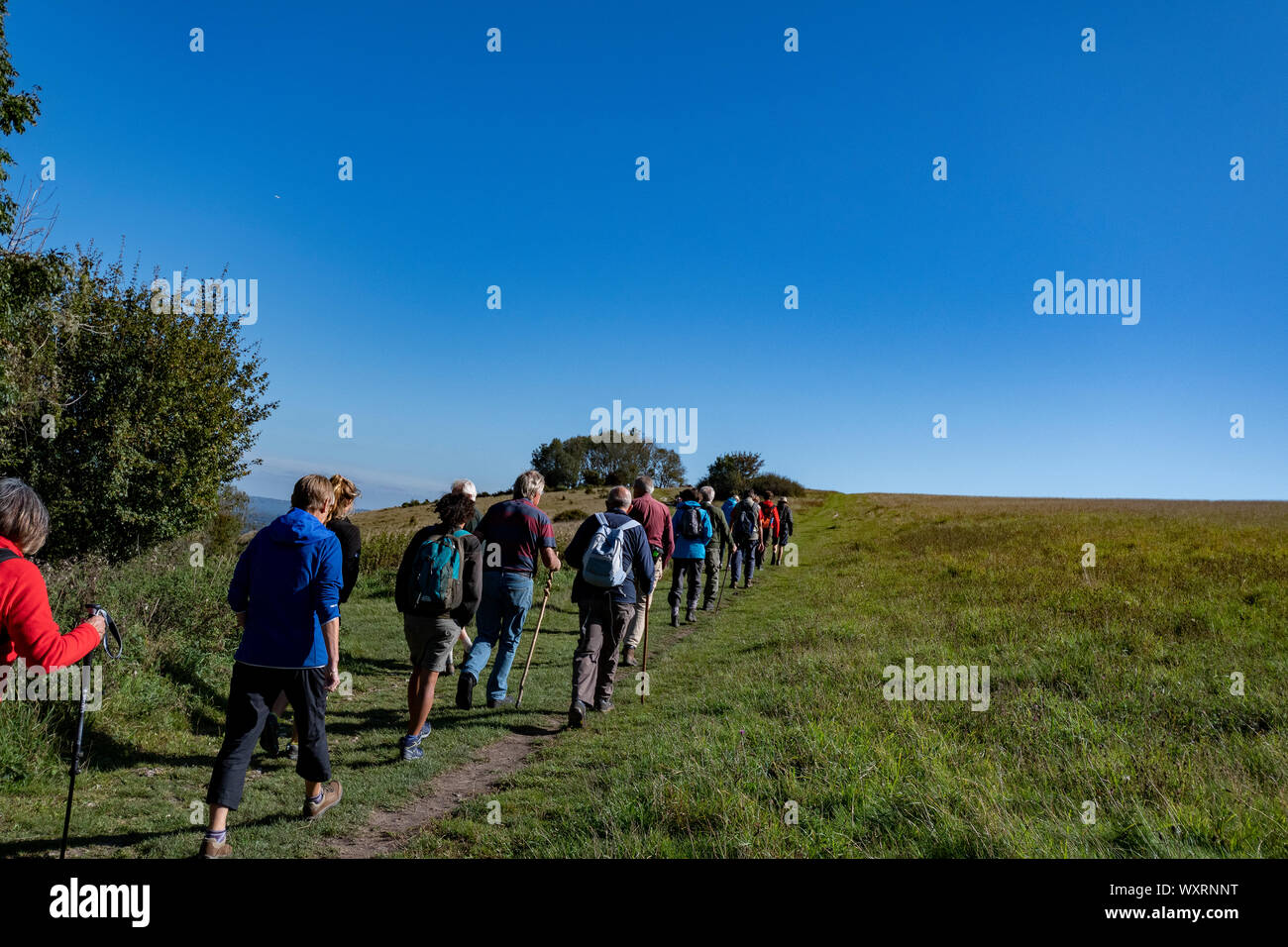 Group of hikers walking on one of the largest areas of ancient chalk downland on Harting Down, a renowned nature reserve in West Sussex,England, UK Stock Photo