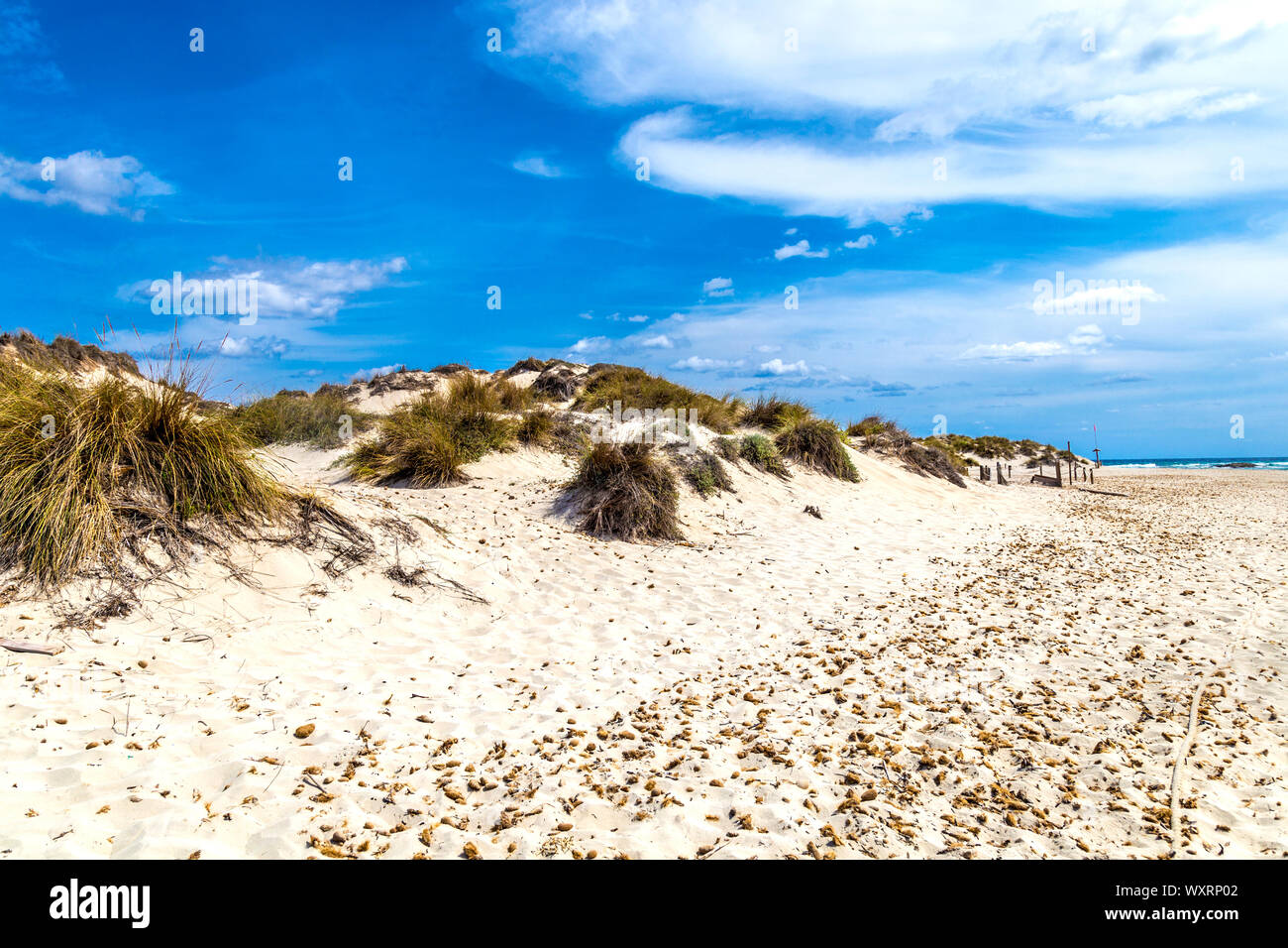 Protected sand dunes of the Parque Natural de las Salinas de Ibiza y Formentera, S'Espalmador, Balearic Islands, Spain Stock Photo