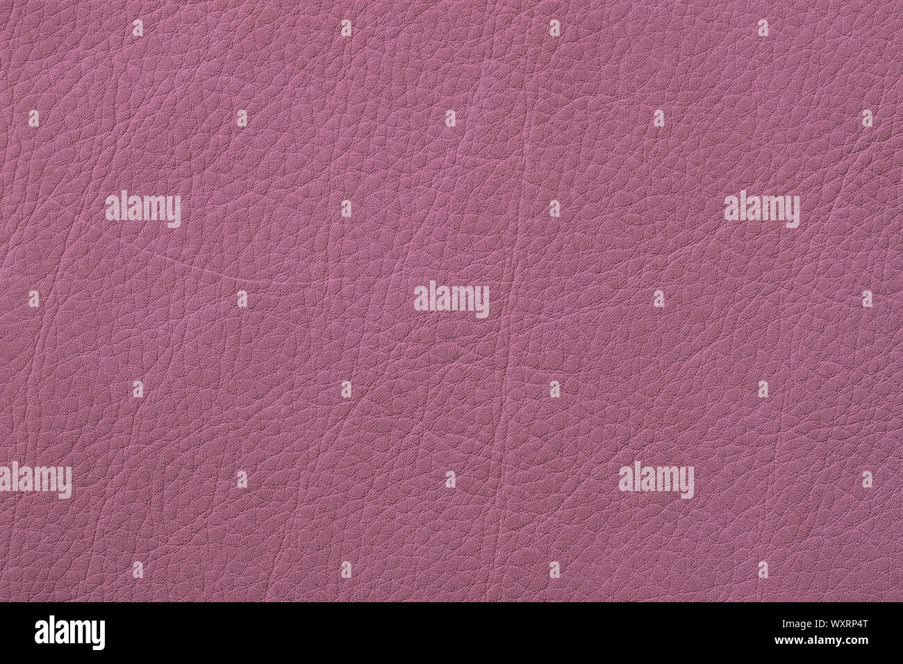 Texture of genuine grainy leather close-up, pink burgundy color for wallpaper or banner design. Fashionable modern background, copy space Stock Photo