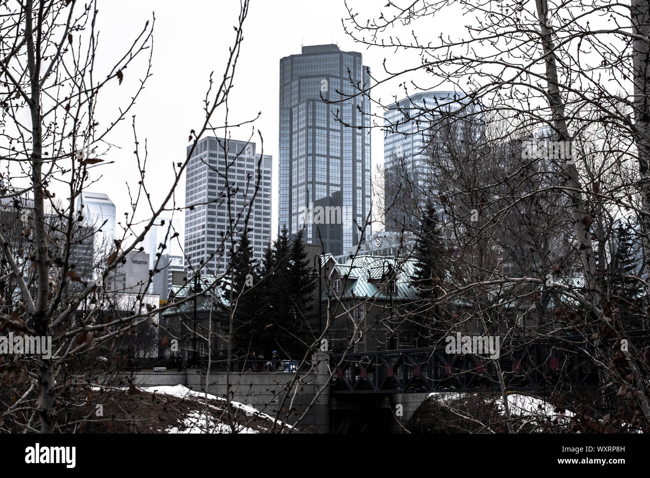 View Of Calgary Downtown From Eau Claire Market Stock Photo Alamy