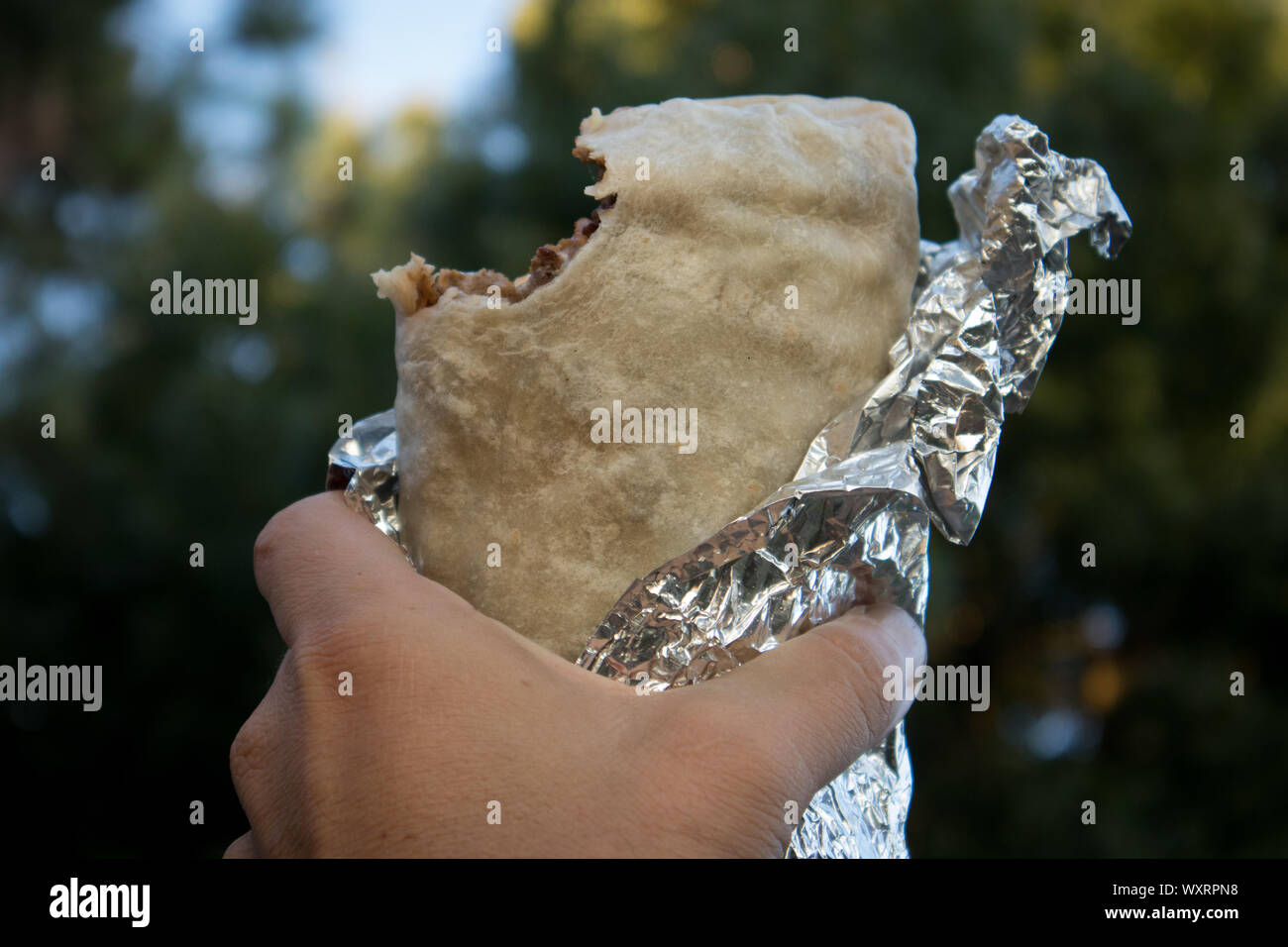 Holding Carne Asada Burrito Wrapped in Foil Stock Photo