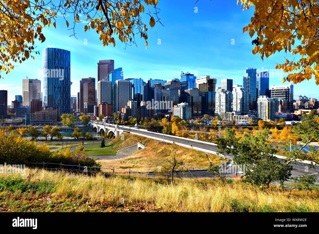 Skyline of the city of Calgary, Alberta during autumn Stock Photo