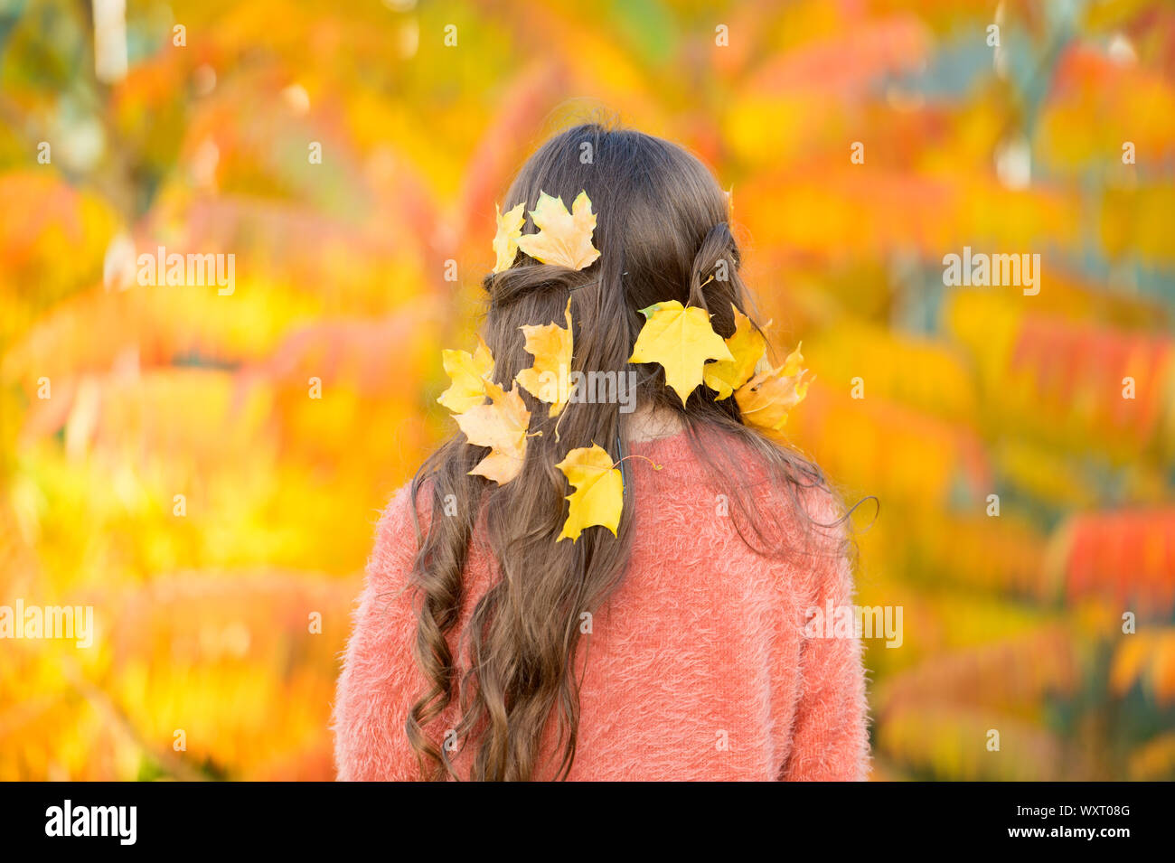Fall Festival Simple Happiness Kid Enjoy Autumn Outdoors Meet