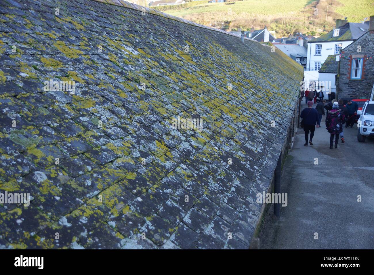 Slate roof at Port Isaac Cornwall Stock Photo