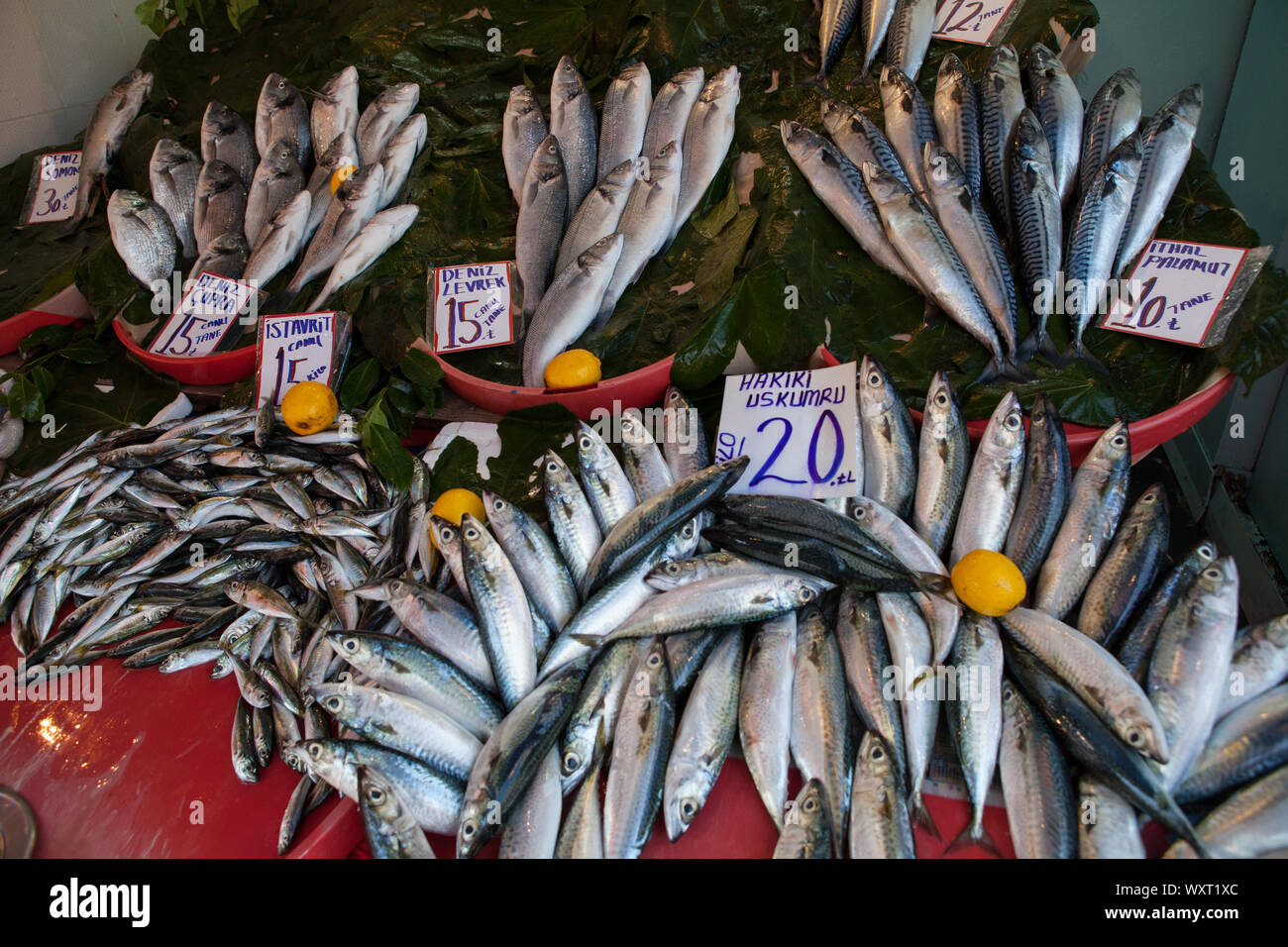 Display of fish for sale at the market in the Beyoğlu district of Istanbul, Turkey Stock Photo