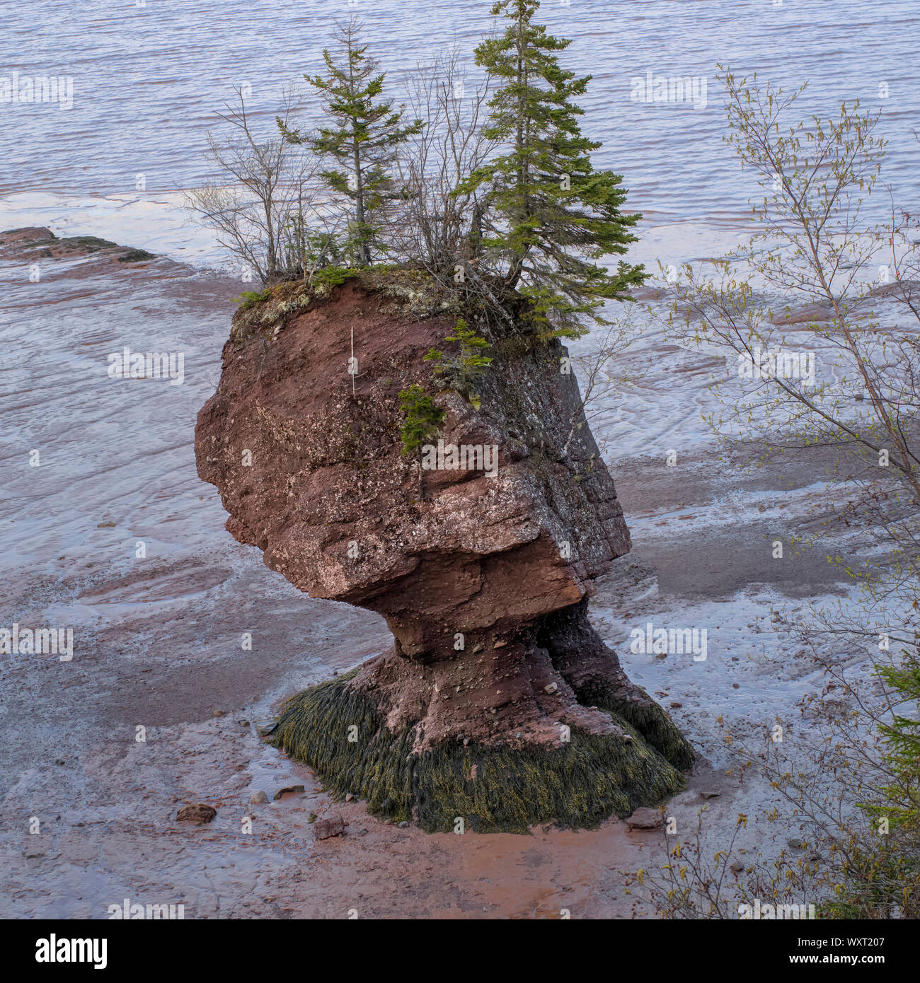 Flowerpots, Hopewell Rocks, New Brunswick, Canada Stock Photo Alamy