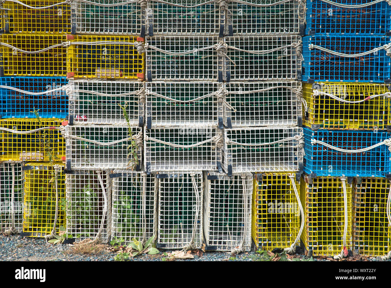 Brightly coloured lobster baskets cages in stacks at Gloucester Harbor, Massachusetts, USA Stock Photo