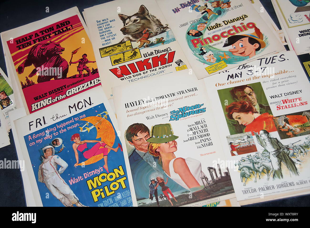 Classic Movie Poster Lot of 1960s Walt Disney Family Films. Stock Photo