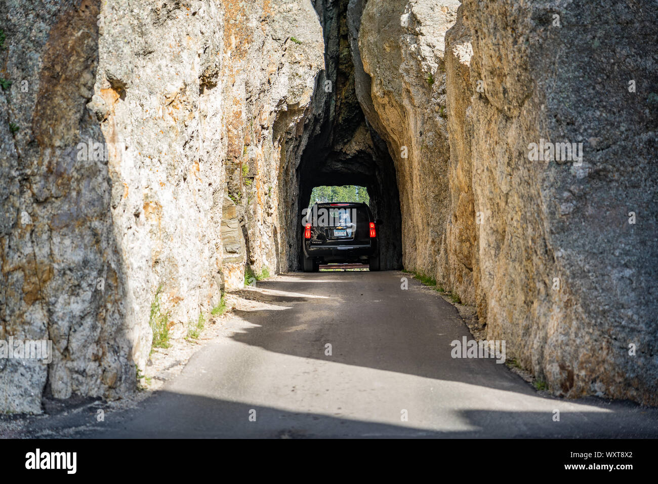 Custer State Park, South Dakota, USA Car driving through the narrow tunnel Stock Photo Alamy