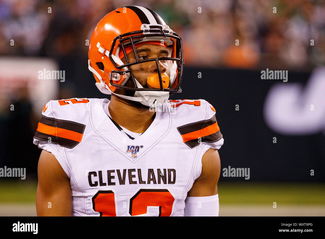 browns 12 jersey