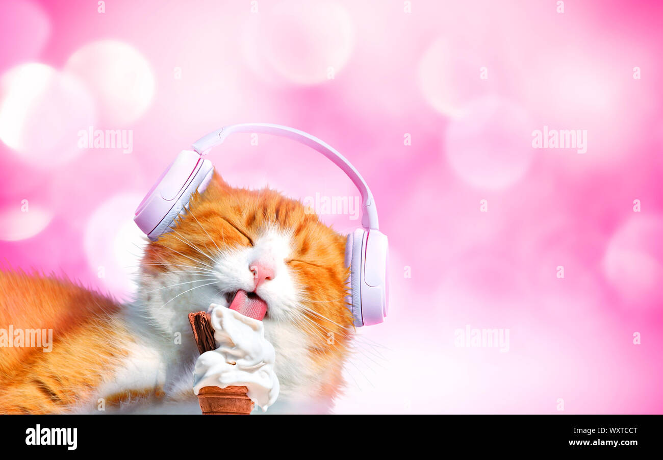Cute cat wearing a headphone while eating ice cream Stock Photo