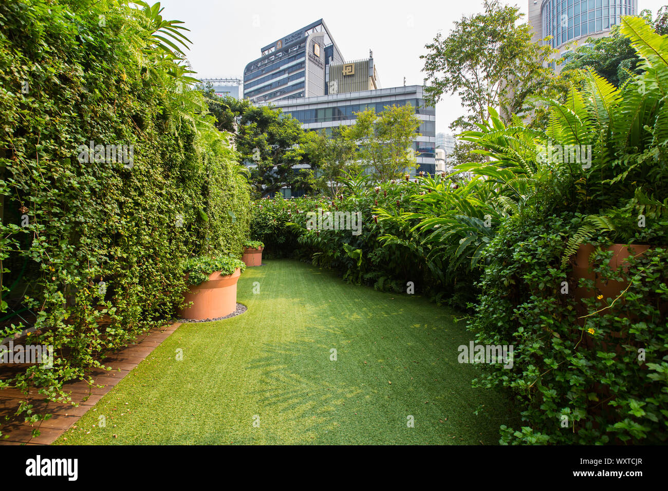 Rooftop garden at Design Orchard, Singapore Stock Photo