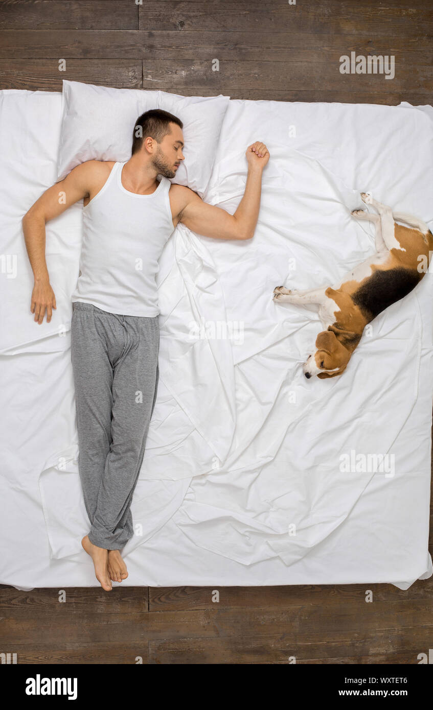 Young man relaxation on the bed top view with a dog Stock Photo