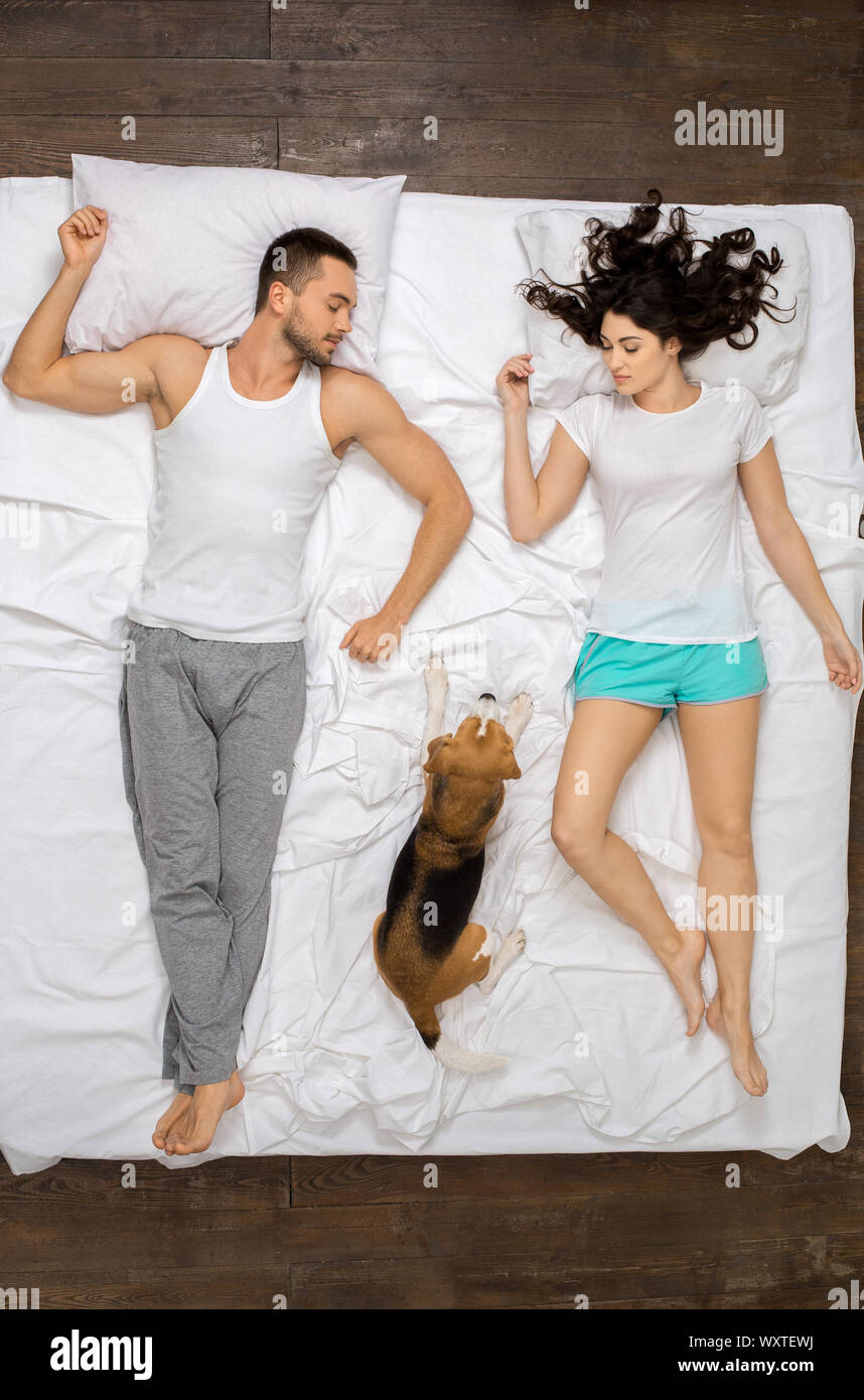Young couple relaxation on the bed top view with a dog dreaming Stock Photo